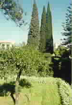 The Garden of 'Abdu'l-Bahá
